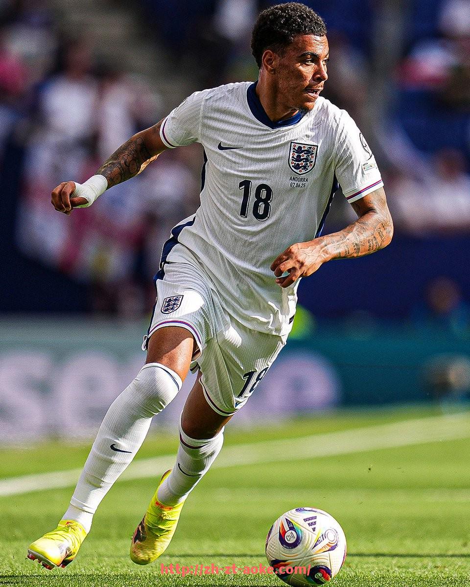 澳客足彩-意甲各队队员名单完整版（最新赛季）