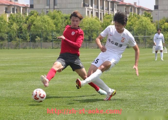 澳客足彩-德甲各球队球星：明星球员及其对球队的重要性